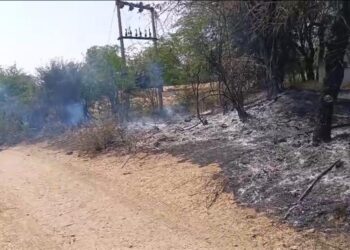 सादडा गाव मे खेत मे लगी आग, अग्निशमन वाहन ने पाया काबू