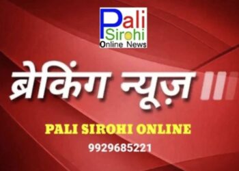 पाली-अज्ञात वाहन ने बाइक को मारी टक्कर, युवक की मौतः इलाज के दौरान तोड़ा दम, अज्ञात वाहन की तलाश जारी