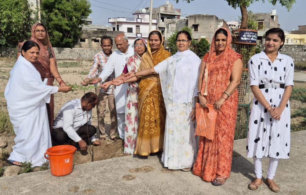 रानी-विश्व पर्यावरण दिवस पर ब्रह्माकुमारी की सोनू दीदी का संदेश