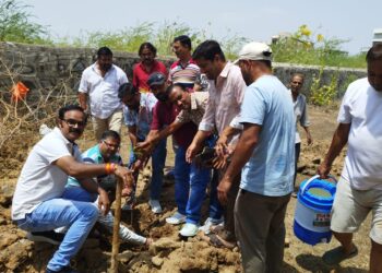 बाली उपखण्ड के फालना में BJP द्वारा सेवा पखवाडा कार्यक्रम के तहत खुडाला फालना मंडल ने लगाए वृक्ष