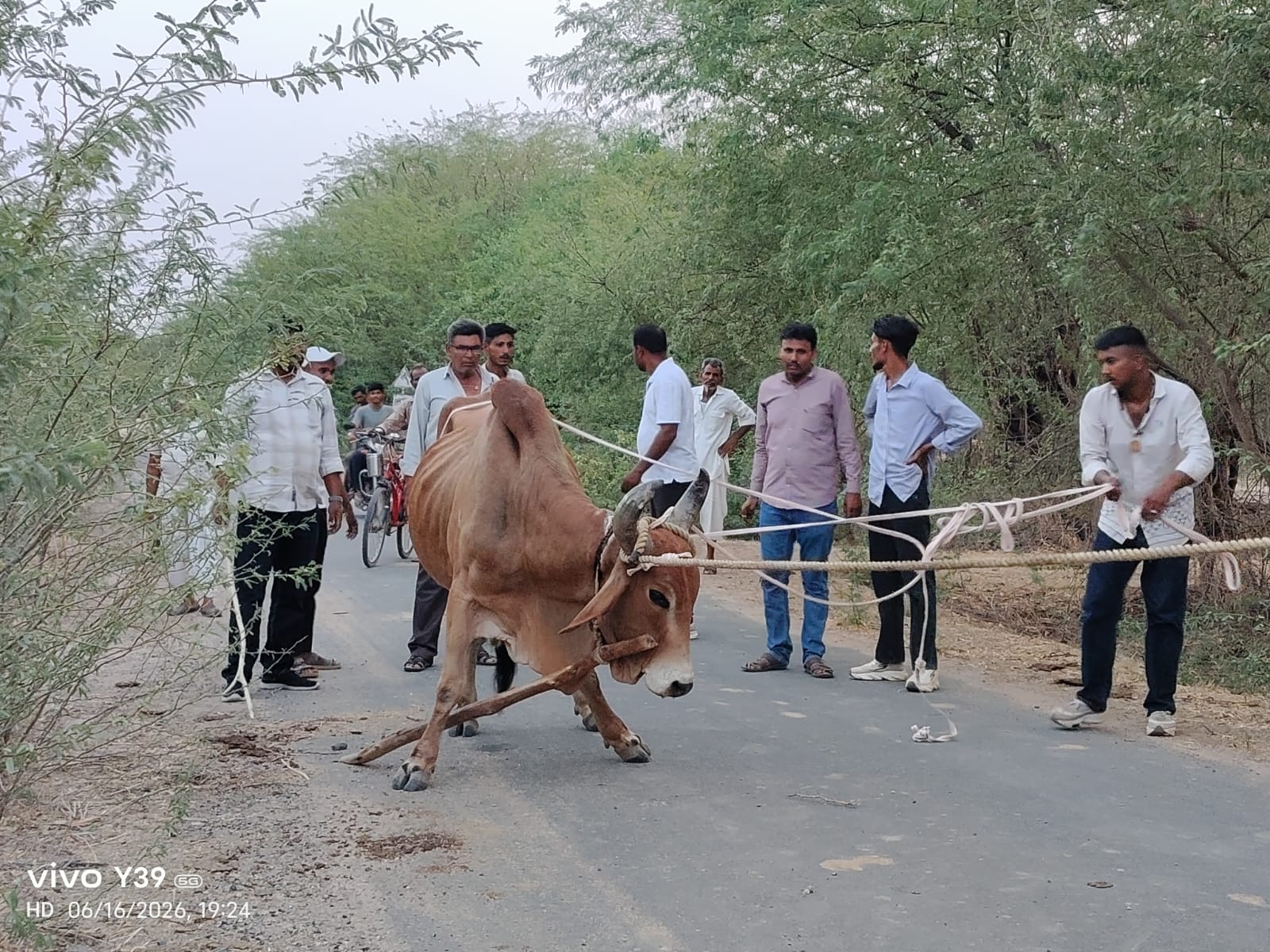 आहोर-नंदी महाराज को बंधनमुक्त करने के लिए चिलचिलाती धूप के बीच खेतों में दो घंटे दौड़ी गौ रक्षा फोर्स की टीम