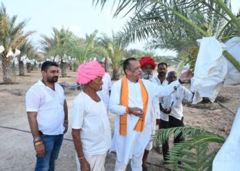 मरूभूमि में खजूर की खेती का कमाल: 270 पौधों से बदली किसान की तकदीर,मंत्री बोले- “जल संरक्षण और जीरो बजट फार्मिंग का यह मॉडल प्रदेश के लिए प्रेरणा