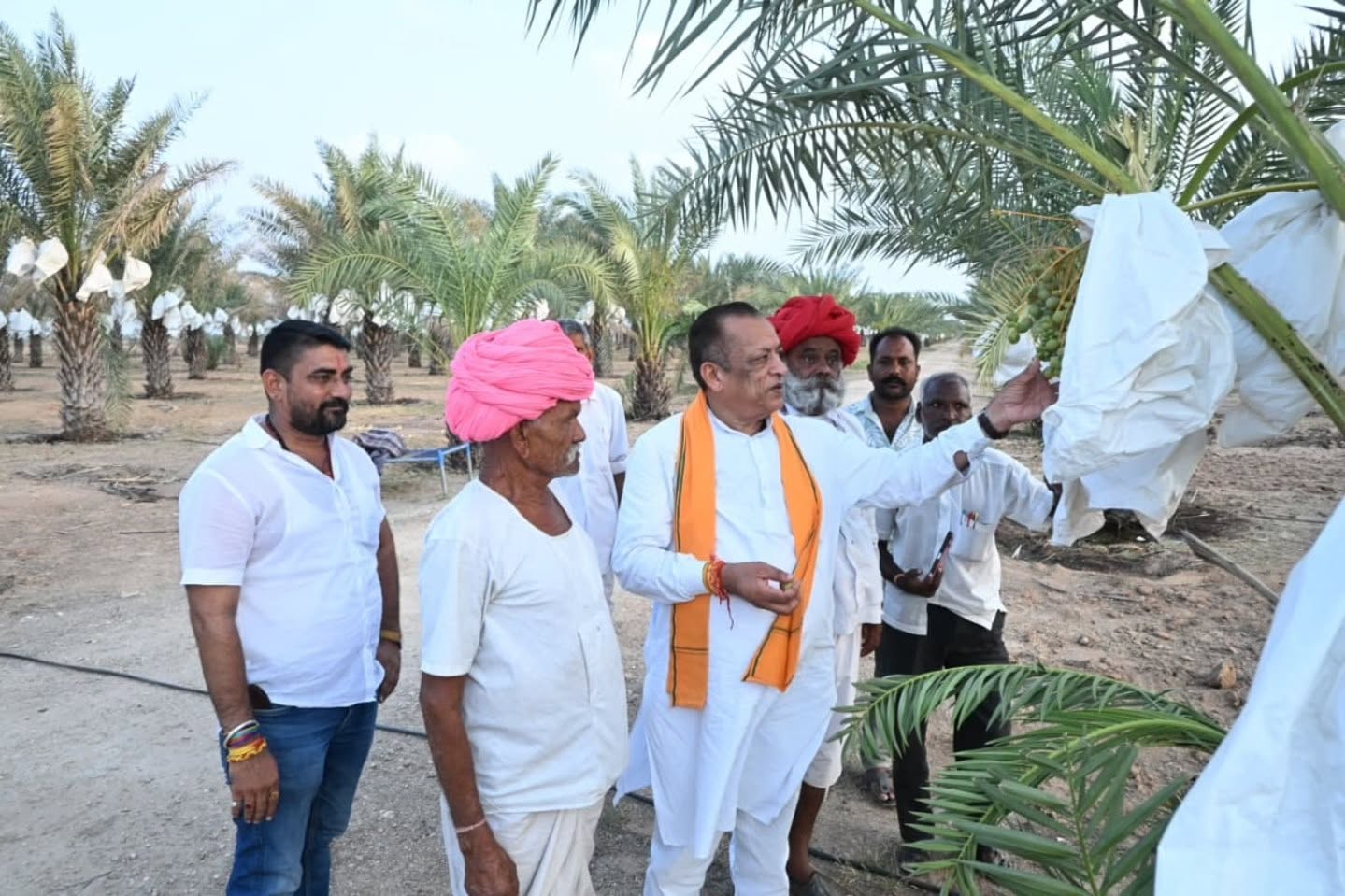 मरूभूमि में खजूर की खेती का कमाल: 270 पौधों से बदली किसान की तकदीर,मंत्री बोले- “जल संरक्षण और जीरो बजट फार्मिंग का यह मॉडल प्रदेश के लिए प्रेरणा