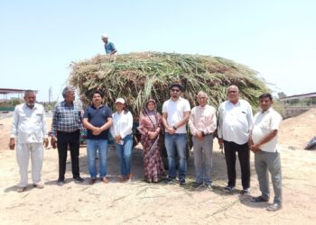 सुमेरपूर-नंदीशाला में भामाशाहों ने किया हरे चारे का सहयोग, गौसेवा का दिया संदेश