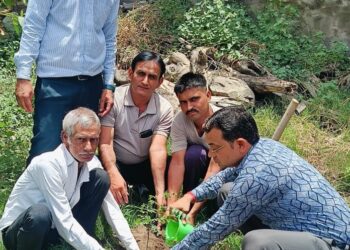 भन्दर ग्राम में विश्व पर्यावरण दिवस पर पौधारोपण कार्यक्रम आयोजित हुआ