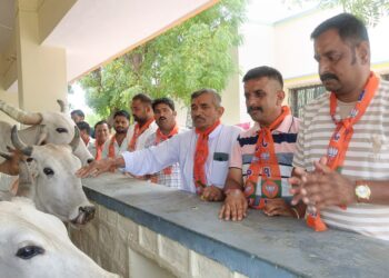 भाजपा प्रदेशाध्यक्ष मदन राठौड़ का 72वां जन्मदिन बिजोवा गौशाला में मनाया