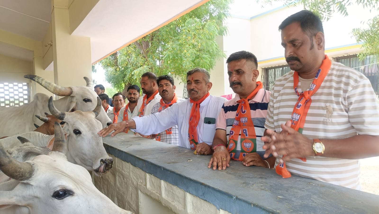 भाजपा प्रदेशाध्यक्ष मदन राठौड़ का 72वां जन्मदिन बिजोवा गौशाला में मनाया
