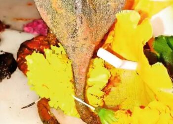जैतावाड़ा: चोरों ने खेतलाजी मंदिर से चुराया 18 तोले चांदी का नाग