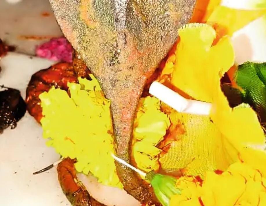 जैतावाड़ा: चोरों ने खेतलाजी मंदिर से चुराया 18 तोले चांदी का नाग