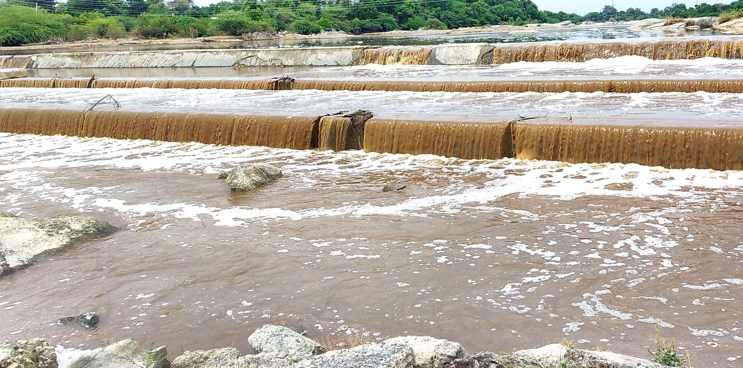 जवाई बांध की सहयक बेड़ा नदी में पानी की आवक शुरु,तेज हवाओं के साथ हुई बारिश