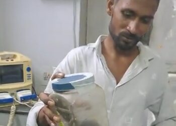 तखतगढ़ में साँप का रेस्कयू कर रहे युवक को साँप ने काटा,जिंदा कोबरा लेकर अस्पताल पहुंचा युवक