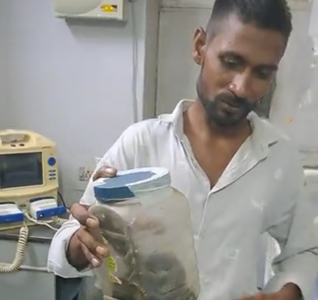 तखतगढ़ में साँप का रेस्कयू कर रहे युवक को साँप ने काटा,जिंदा कोबरा लेकर अस्पताल पहुंचा युवक