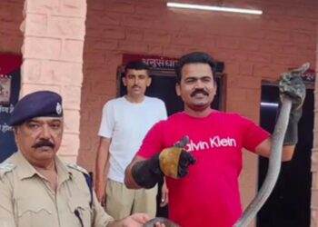 पुलिस थाने में घुसा सांपःपुलिसकर्मियों में मची अफरा-तफरी, स्नेक कैचर ने पकड़कर जंगल में छोड़ा