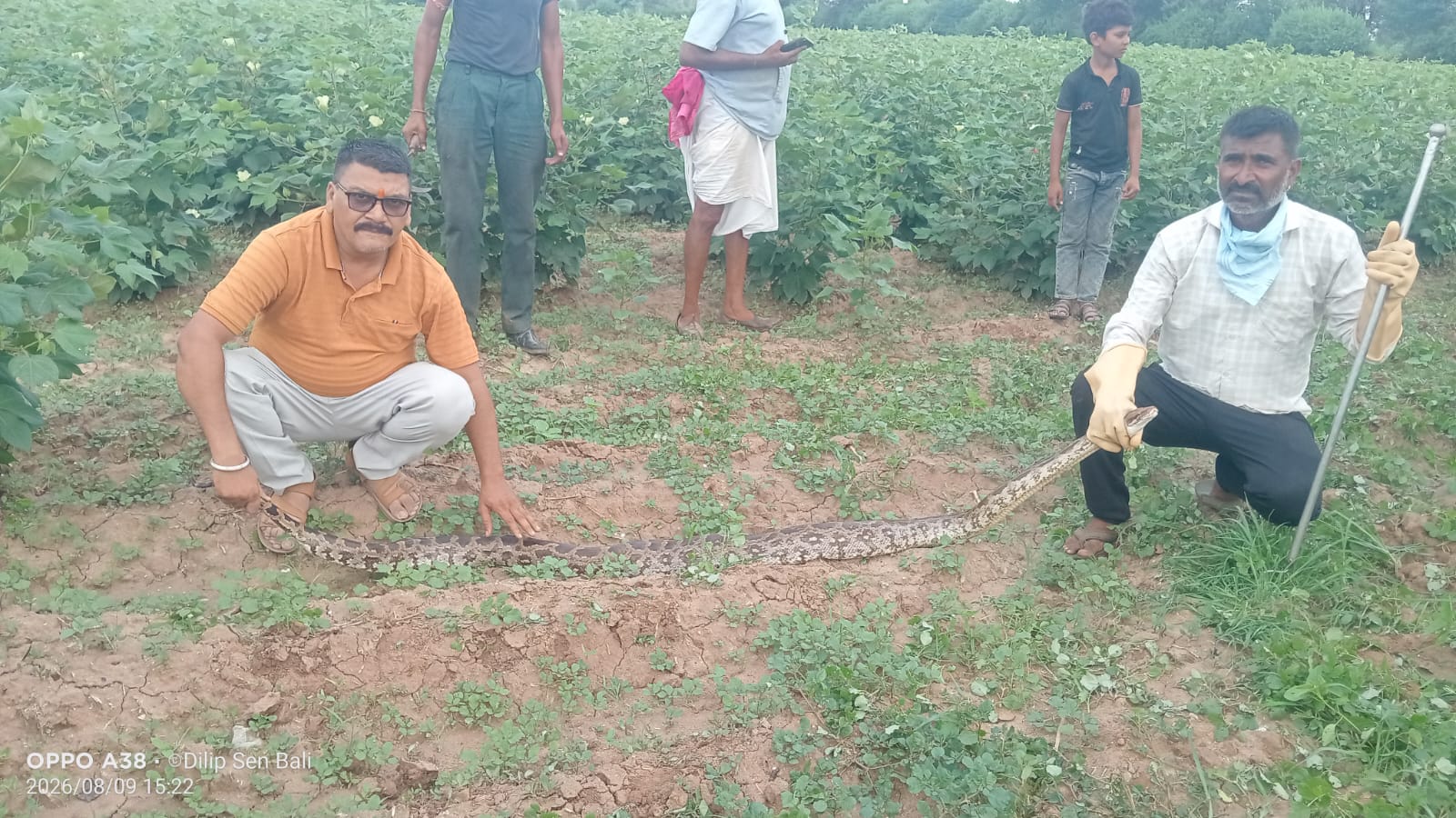 कोट बालियान में 10 फीट लंबे अजगर का हुआ सुरक्षित रेस्क्यू