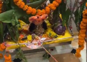 नाना गांव में धूमधाम से मनाई श्रीकृष्ण जन्माष्टमी, कान्हा जी को ग्रामीणों ने झूला झुलाया