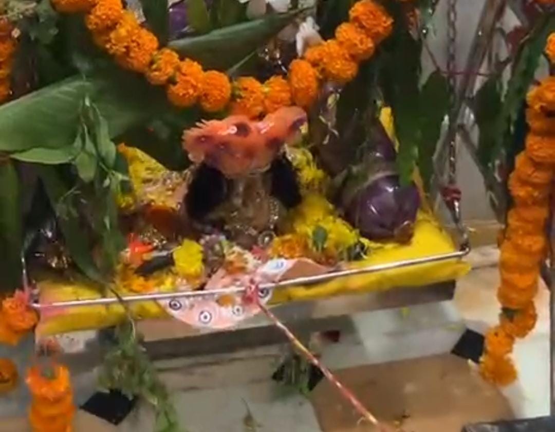 नाना गांव में धूमधाम से मनाई श्रीकृष्ण जन्माष्टमी, कान्हा जी को ग्रामीणों ने झूला झुलाया