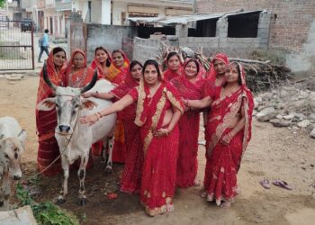 चामुंडेरी में संतान की लंबी उम्र के लिए माताओ ने गाय बछड़े की पूजा कर बच्छ बारस का व्रत रखा
