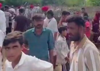 अज्ञात जानवर के हमले से 54 भेड़ों की मौतःबाड़े में घुसकर किया हमला, भेड़िए की आशंका; शखवाली गांव की घटना