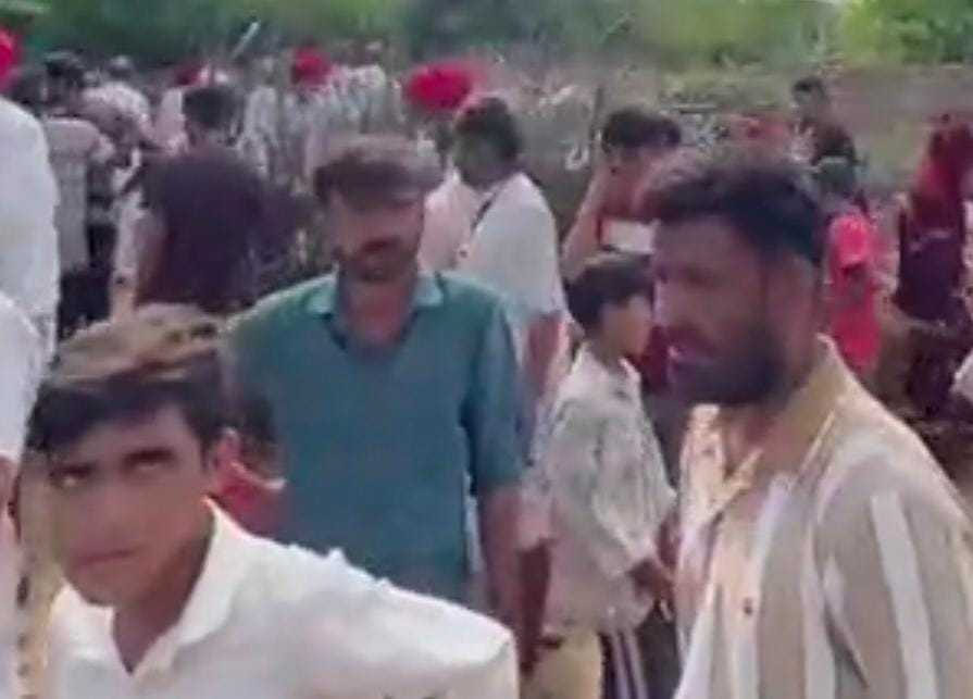 अज्ञात जानवर के हमले से 54 भेड़ों की मौतःबाड़े में घुसकर किया हमला, भेड़िए की आशंका; शखवाली गांव की घटना