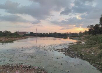 तखतगढ़ के गंवई तालाब में भयंकर गंदगी की दूर दूर फैलती दुर्गंध और गंदे पानी की शिकायत पर मुख्यमंत्री कार्यालय गंभीर