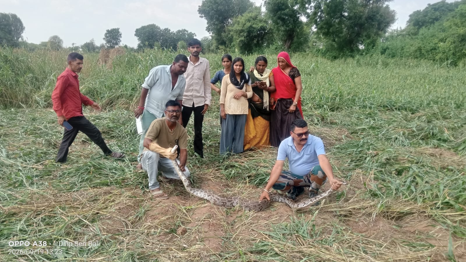 कोट बालियान गांव में 10 फिट लंबे अजगर का हुआ रेस्क्यू, कृषि कुए पर काम कर रहे लोगो को दिखाई दिया था अजगर