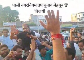 पाली में उप महापौर बने निर्दलीय महबूब टी:समर्थकों&nbsp; प्रदीप हिगड हिगड को कंधे पर बैठाकर हिगड जिंदाबाद के नारे लगाए
