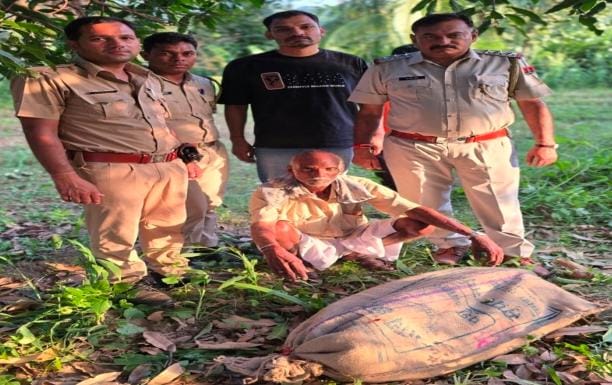 खिंवाड़ा- खेत में चारा व ज्वार की फसल में से अवैध गांजा के 80 पौधे बरामद, आरोपी गिरफ्तार