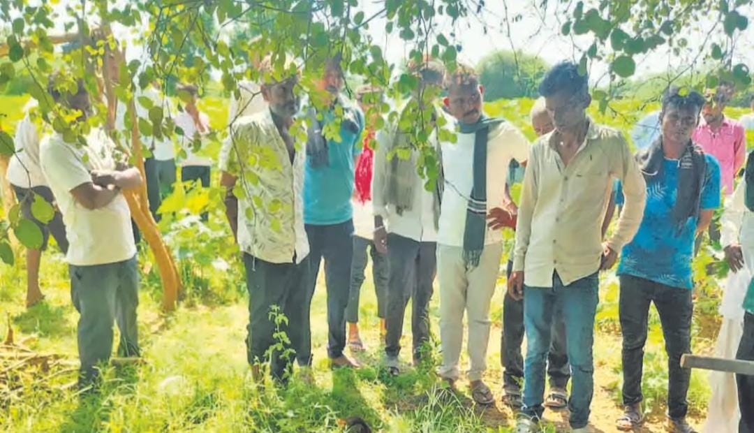 मकावल में युवक-युवती ने पेड़ से लटकर किया सुसाइड: बाइक के क्लच वायर से लगाया फंदा, 15 दिन से चल रही थी सगाई की बात