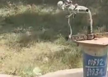 सिरोही-पशु अस्पताल से ट्यूबवेल की केबल काट ले गए चोरः पालड़ी एम में वारदात, पुलिस ने मामला दर्ज कर चोरों की तलाश की शुरू