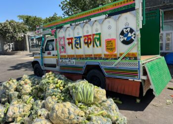 सादड़ी पुलिस ने करीबन 1 करोड़ 35 लाख रुपए के अवैध डोड़ा पोस्व से भरी पिकअप पकड़ी