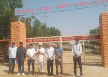 तखतगढ-नायब तहसीलदार की टीम ने दो गौशालाओ का किया निरीक्षण