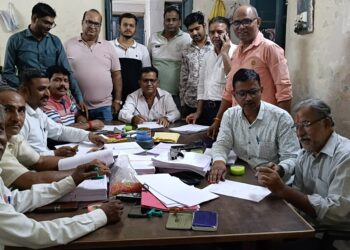 पाली-मतदाता सूचियों के अद्यतन सेट तैयार करने में जुटे कार्मिक
